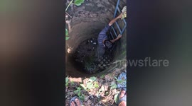 India: Social organisation resqued the cow that fell into the well in Shahdol, Madhya Pradesh