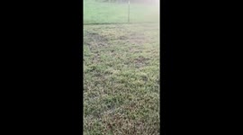East Texas woman flees in panic as invasive nutria rat approaches