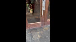 Lady falls at store entrance in Houston, Texas