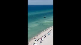 Sheriff helicopter warns of shark activity in Panama City Beach, Florida