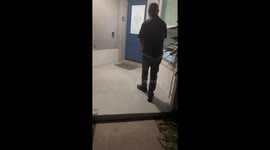 Person flees after frog jumps off door in Orlando, Florida