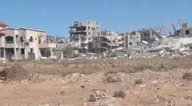 Gaza Strip: Palestinian death toll in Gaza rises to 41,272 as conflict grinds on