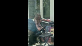 Dog shows no interest in game as little girl puts headphones on him