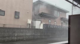 Japan: Thunderstorm Delivers Big Hail And Damaging Winds To Tokyo Area 2