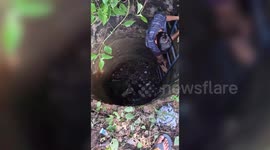 Bull rescued by locals from deep well in central India
