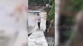 Animal rescuers respond swiftly after monkey gets electrocuted in central India