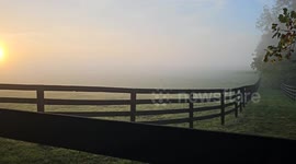 Majestic Sunrise Amidst Dense Fog