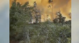 Peru: Peru declares emergency in three regions affected by forest fires