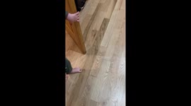 Fearless Toddler Is Excellent Spider Catcher