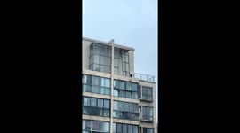 Glass panel and metal grill fall from building amid strong winds in Shanghai
