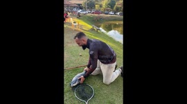 Person catches escaping fish before it returns to water in Brazil