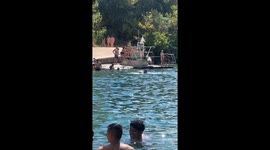 Excited crowd cheers as brave 5-year-old girl takes a leap from the diving board