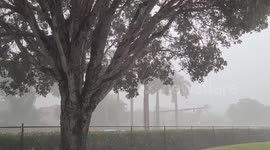 Severe Thunderstorm Hits Palm Beach