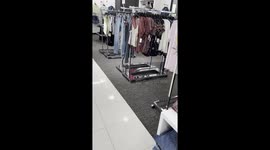 Snake Spotted Slithering Around Florida Mall