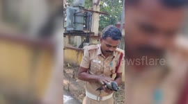 Heartwarming rescue! Firefighter saves electrocuted crow with CPR in southern India