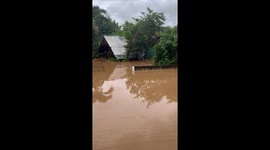 Pet dog swims to safety through floods in Thailand