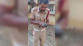 India: Firefighter saves electrocuted crow with CPR in heartwarming rescue in southern India