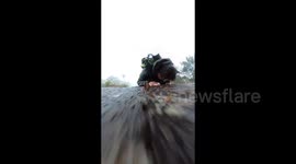 Hiker cheats death after slipping down rain-soaked cliff only to be saved by tree in China