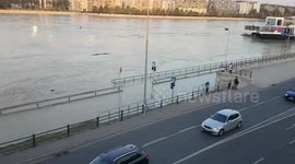 Hungary: Part of the road is hidden under the waters of the Danube