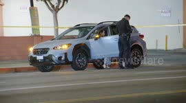 US: Sherman Oaks Body Found In Road Possibly Struck By Passing Vehicle