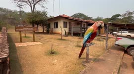 Brazil: Wildfires harm Brazilian national park, tourism takes hit