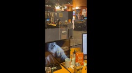 Spider disrupts workspace in Tulsa, Oklahoma