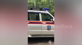 Russia: Dog 'Sings' Along With Rescuers' Siren To Help Finding Missing Mushroom Pickers
