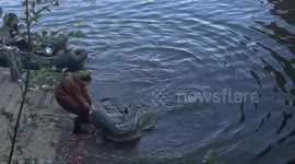 Angler catches monster catfish that drags him off his feet