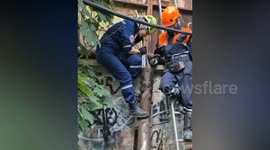 Russia: Rescue of A Kitten Stuck In Filthy Drainpipe