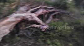 Sri Lanka: Illiegal defrostration in the Elephant pass area