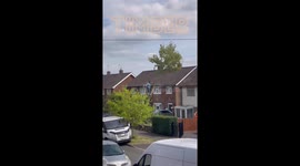 Tree surgery gone wrong fail house damage chainsaw cowboy pikey cut down accident broken regret oops broken