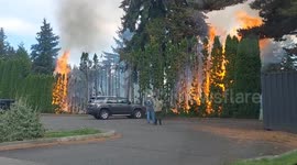US: Fire Burns Trees At Golf Course In Tacoma, Washington