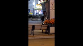 Black bear uses crosswalk in Gatlinburg, Tennessee