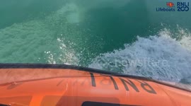 UK: Dolphins Leap in Joy as Brighton RNLI Crew Returns from Sea Safety Training