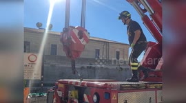 Italy: Dramatic Vessel Recovery Amidst Flood Relief Efforts in Ancona