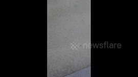 South Korea: Heavy Rain Hits Busan, Causing Flooding