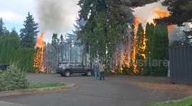 Fire burns trees and vegetation at Highlands Golf Course in Tacoma, Washington