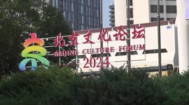 Beijing Culture Forum new global platform for cultural exchange: Egyptian expert