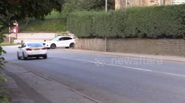 Farmers stunned after irate driver phones to complain about cows crossing road