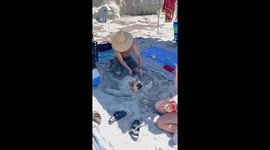 Dog Transforms Into a Sand Turtle