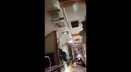 Snake on a train sparks panic among passengers in India