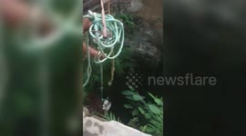 Heartwarming rescue! Cat trapped in well for four days rescued by animal rescuers in central India