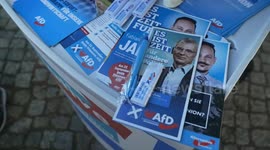 Germany: Germany's far-right AfD set for another state election win in Brandenburg