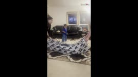 Tradition takes flight: Family's beloved blanket swing gets a high-flying surprise