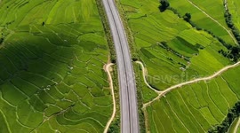 China sees sound fundamentals to reap another bumper grain harvest