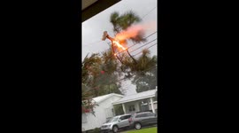 Branch Caught in Electrical Wires Catches Fire
