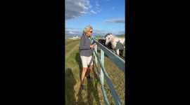 Woman’s hilarious yet shocking encounter with electric fence