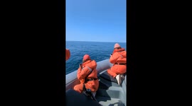 Humpback Whale Smiles for the Camera