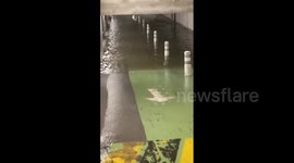 France: Torrential Rain Triggers Severe Flooding In Cannes Amid Intense Storm