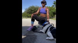 Dog attack incident at Roscoe Warren Municipal Park in Homestead, Florida